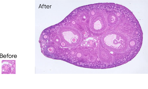 實(shí)時(shí)圖像拼接