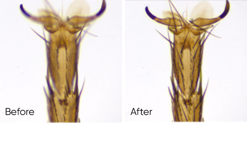 實(shí)時(shí)景深融合