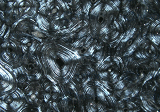 偏光骨骼組織切片