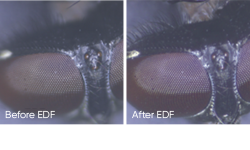 實(shí)時景深拓展