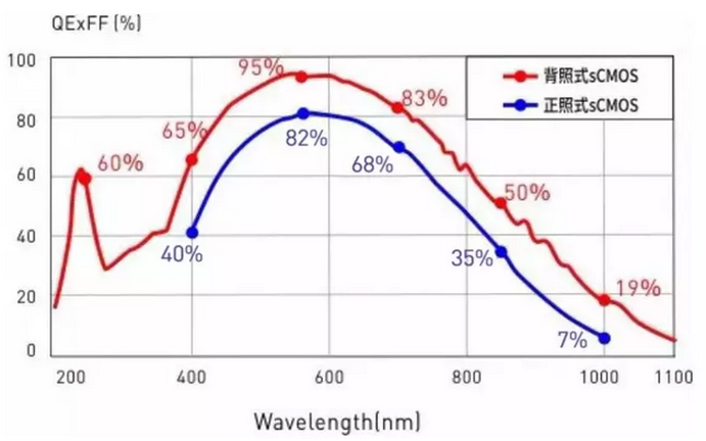 什么是量子效率？如何影響科學相機的成像質量呢？
